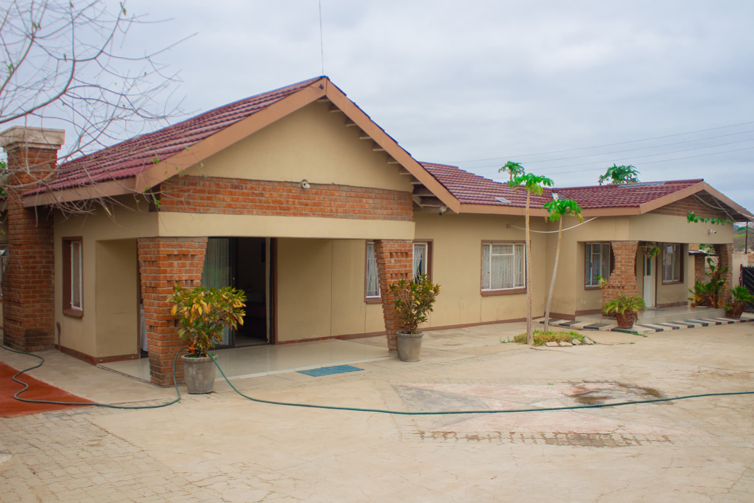 Decorative wildlife elements